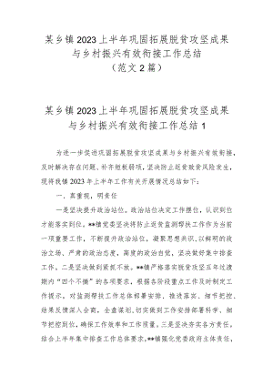 某乡镇2023上半年巩固拓展脱贫攻坚成果与乡村振兴有效衔接工作总结（2篇）.docx