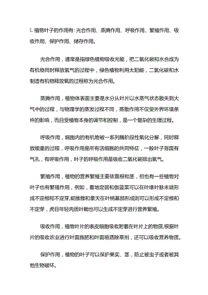 植物的叶子有什么作用.docx
