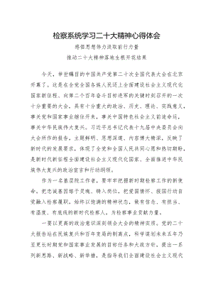 检察系统学习二十大精神心得体会.docx