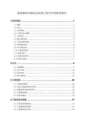 某某湖水环境综合治理工程可行性研究报告.docx