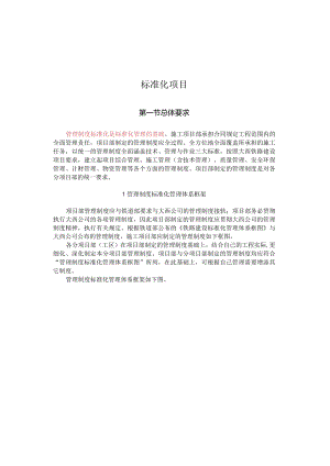 标准化项目.docx