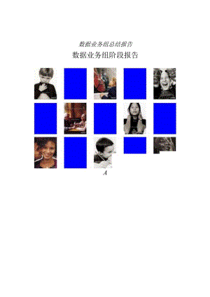 数据业务组总结报告.docx