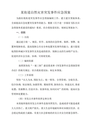 某街道自然灾害突发事件应急预案.docx