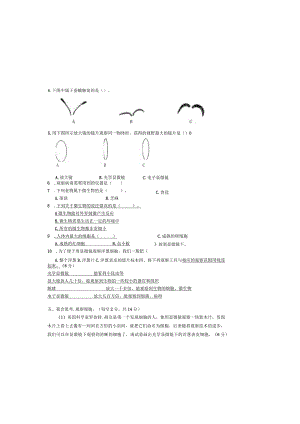 最新教科版小学六年级科学上册第一单元《微小世界》能力拓展培优提升检测试卷（附答案）.docx
