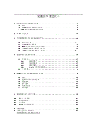 某集团项目建议书.docx