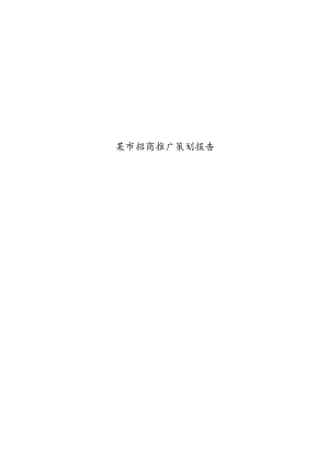 某市招商推广策划报告.docx