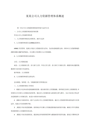 某某公司人力资源管理体系概述.docx
