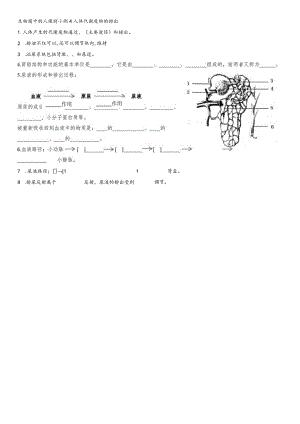 泌尿系统课前小测.docx