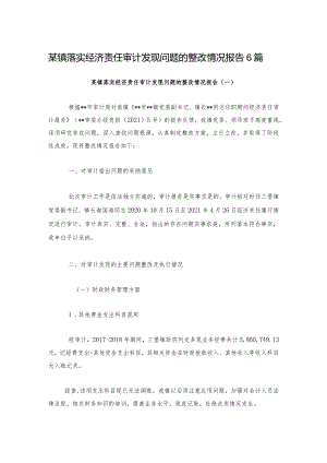 某镇落实经济责任审计发现问题的整改情况报告6篇.docx