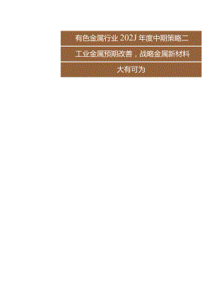 有色金属行业2023年度中期策略：工业金属预期改善战略金属新材料大有可为.docx