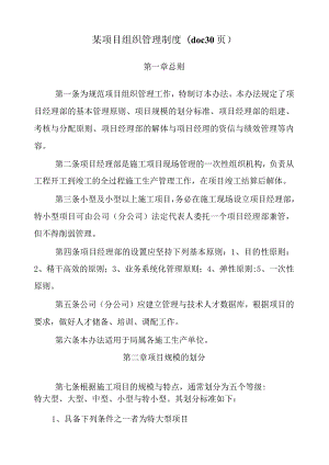 某项目组织管理制度(doc30页).docx