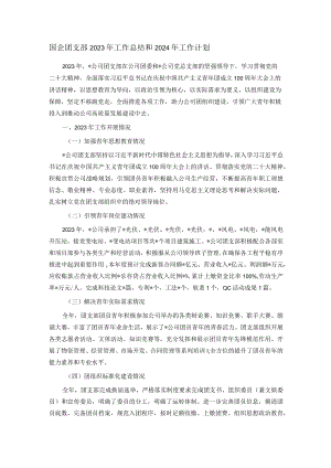 国企团支部2023年工作总结和2024年工作计划.docx