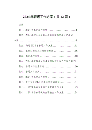 2024年春运工作方案12篇供参考.docx