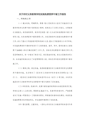 关于农村义务教育学校实施免费营养午餐工作报告.docx