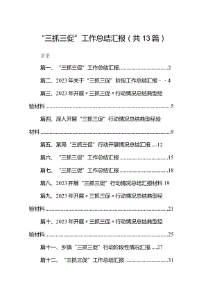 “三抓三促”工作总结汇报13篇（完整版）.docx