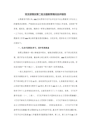 党支部落实第二批主题教育情况自评报告.docx