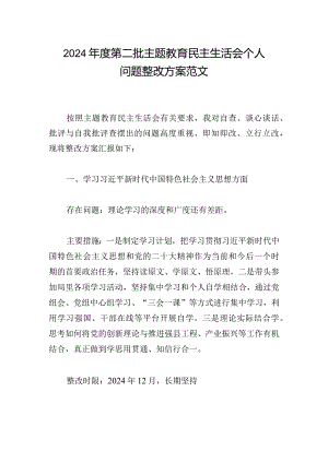 2024年度第二批主题教育民主生活会个人问题整改方案范文.docx