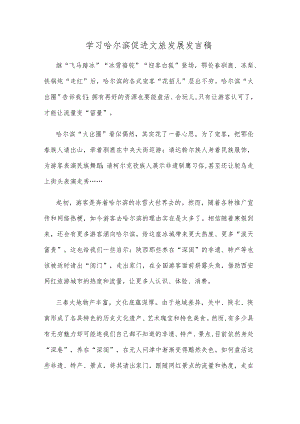 学习哈尔滨促进文旅发展发言稿.docx