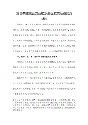 支部共建聚合力 互助双赢促发展经验交流材料.docx