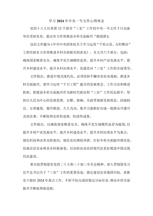 学习2024年中央一号文件心得体会一.docx