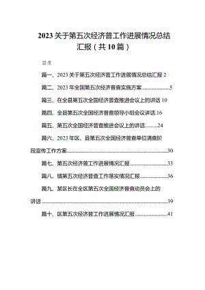 关于第五次经济普工作进展情况总结汇报10篇供参考.docx