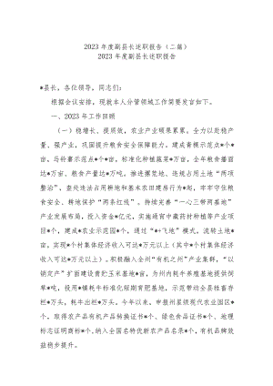2023年度副县长述职报告(二篇).docx