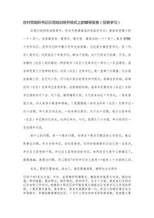 在村党组织书记示范培训班开班式上的辅导发言.docx