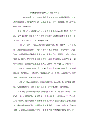 2024开展解放思想大讨论心得体会发言材料一.docx
