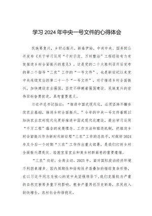 学习贯彻2024年中央一号文件心得体会十四篇.docx
