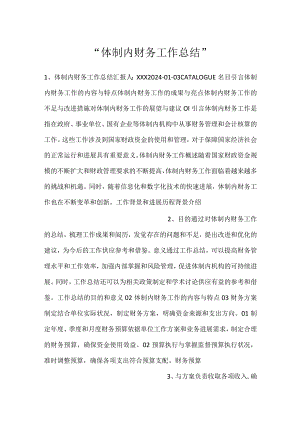 -体制内财务工作总结-.docx