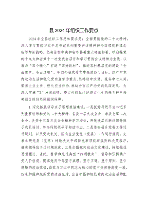 2024年工作要点精选两篇合辑（党建工作+组织工作）.docx