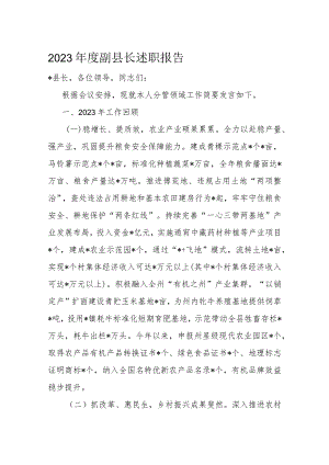 2023年度副县长述职报告.docx
