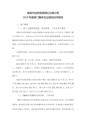 南昌市自然资源局红谷滩分局2019年度部门整体支出绩效自评报告.docx