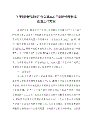 新时代耕地和永久基本农田划定成果核实处置工作方案.docx