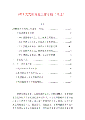 2024党支部党建工作总结（精选）.docx