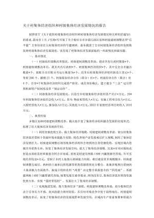 关于村集体经济组织和村级集体经济发展情况的报告.docx
