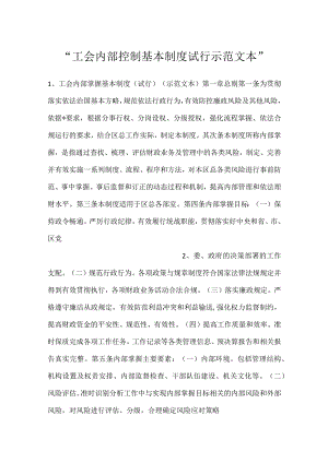-工会内部控制基本制度试行示范文本-.docx