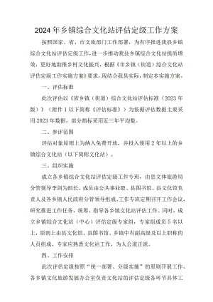 2024年乡镇综合文化站评估定级工作方案.docx