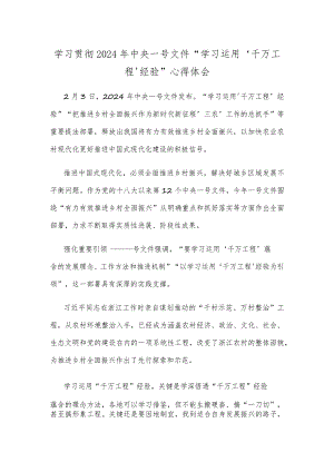 学习贯彻2024年中央一号文件“学习运用‘千万工程’经验”心得体会.docx
