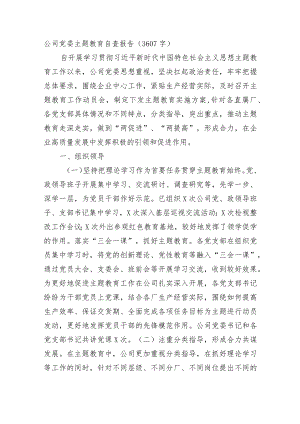 国企主题教育自查报告.docx
