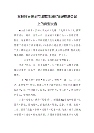 某县领导在全市城市精细化管理推进会议上的典型发言.docx