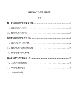 储能电池产业概述分析报告.docx
