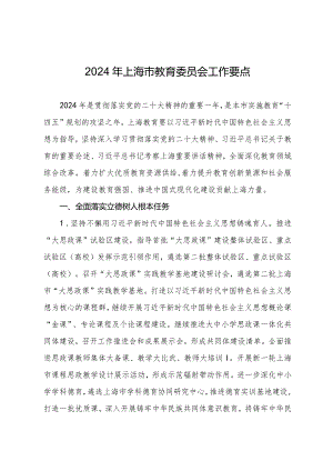 2024年上海市教育委员会工作要点.docx