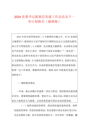 2024党委书记抓基层党建工作总结及下一步计划报告（最新版）.docx