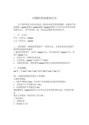 任期经营业绩责任书.docx