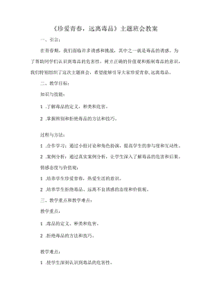 《珍爱青春远离毒品》主题班会教案.docx