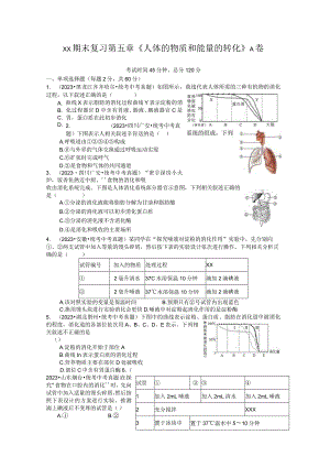 x版八上期末复习第五章《人体的物质和能量的转化》A卷（含答案）公开课教案教学设计课件资料.docx