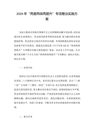 2024年“两查两保两提升”专项整治实施方案.docx
