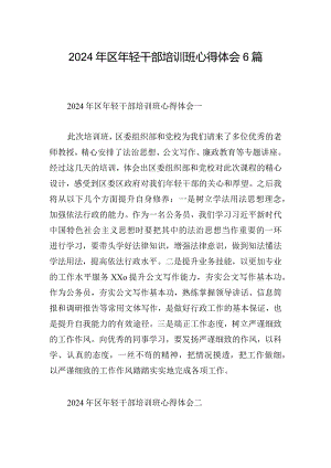 2024年区年轻干部培训班心得体会6篇.docx