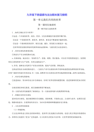 九年级下册道德与法治期末复习提纲（实用！）.docx